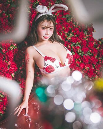 ai_fei9961