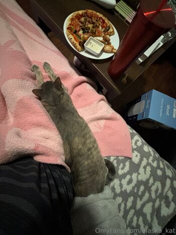 alaska_kat