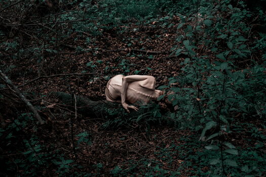 Alexey Pavlov Photographer