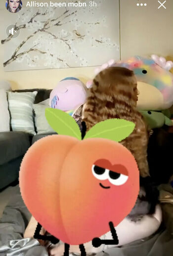 Allison_Been_Mobn