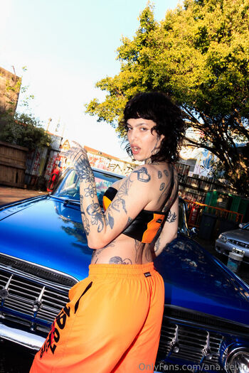 ana.devin
