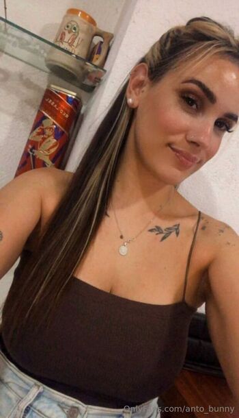 anto_bunny