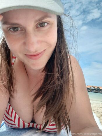 aussielilyfox