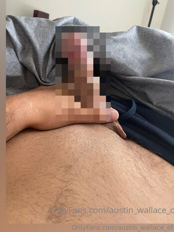 austin_wallace_of