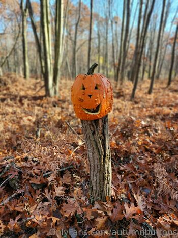autumnbuttons