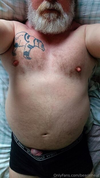 bearinheat