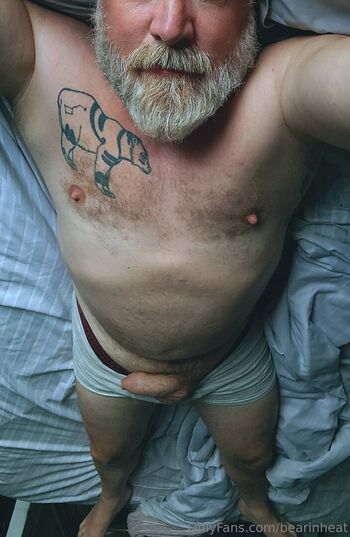 bearinheat