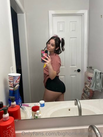 bighonkincaboose