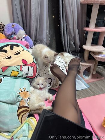 bigmimisasako