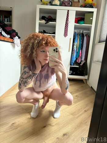Bitwink18