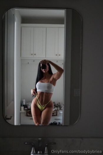 Bodybybriea