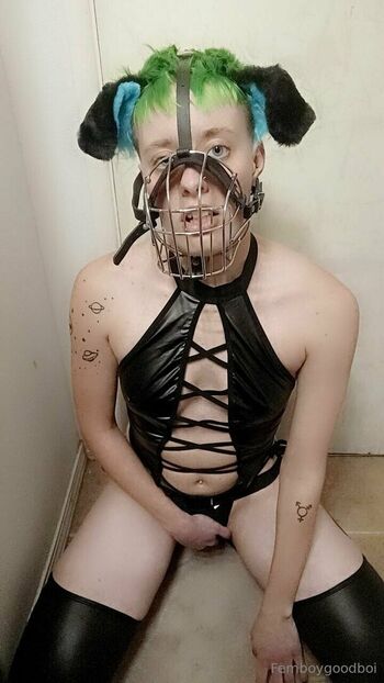 brattypuppybite