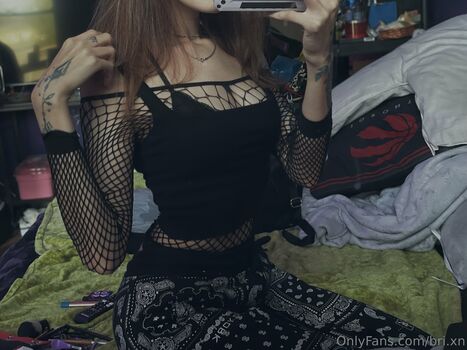 bri.xn