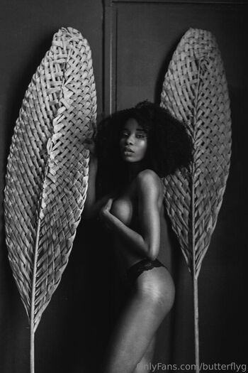 butterflyg