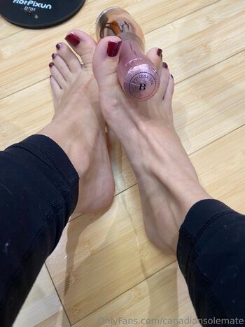canadiansolemate