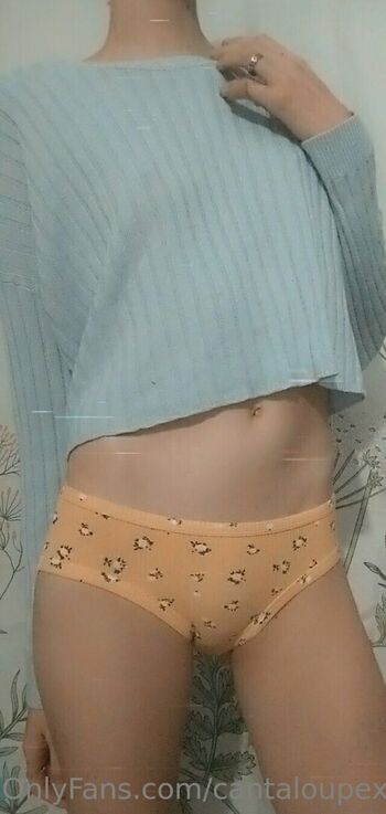 cantaloupexo