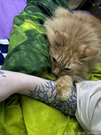 CateKate