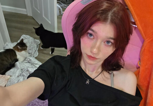 Celebi.cos