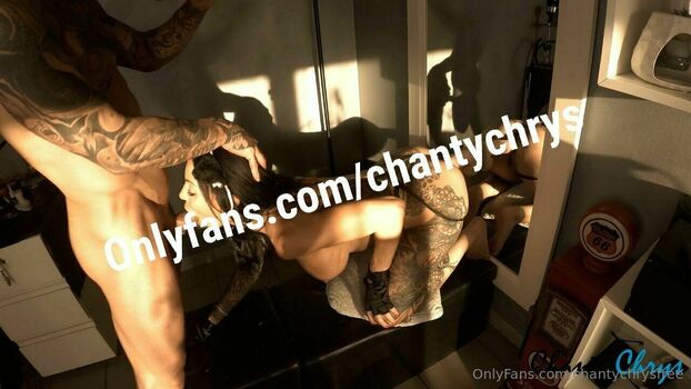chantychrysfree