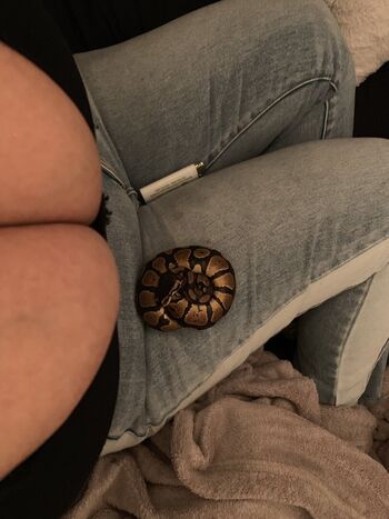 Charlotte.G