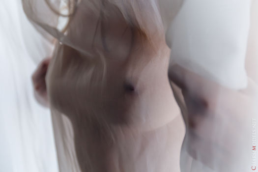 CharmModels