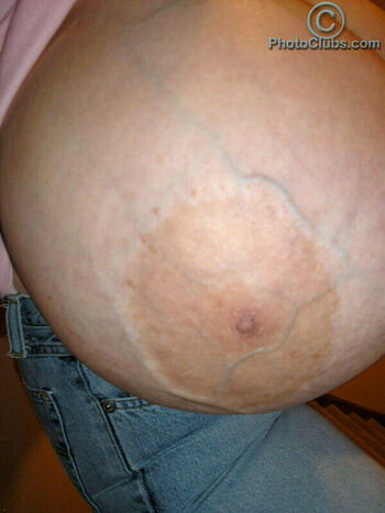 Chelsea Charms