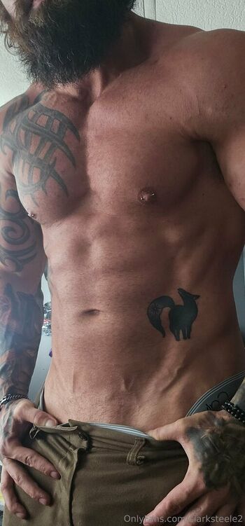 clarksteele2