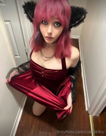 cobrakitty