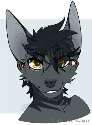 cyfossa