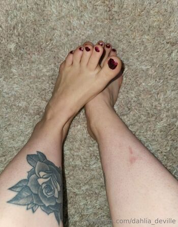 dahlia_deville