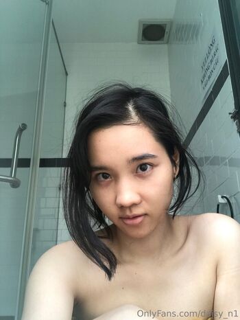 daisy_n1