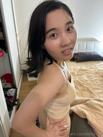 daisy_n1
