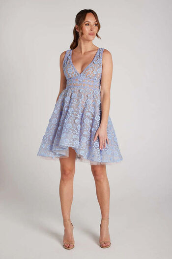 daisyblue