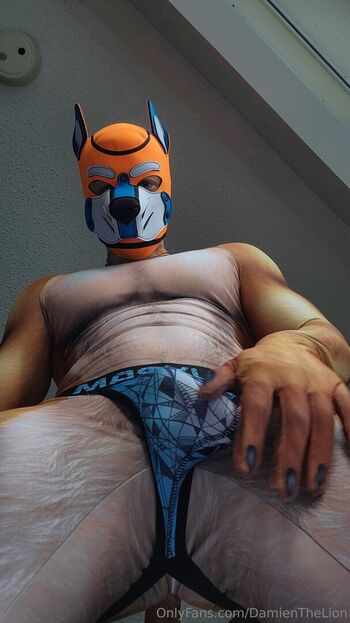 damienthelion