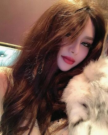 deer_white_