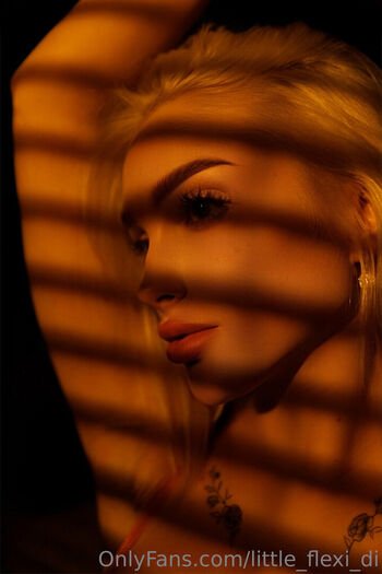 dianabarbie