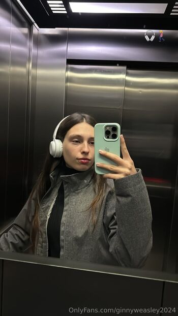 dominga2024