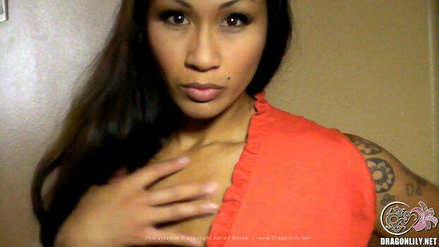 dragonlily_net