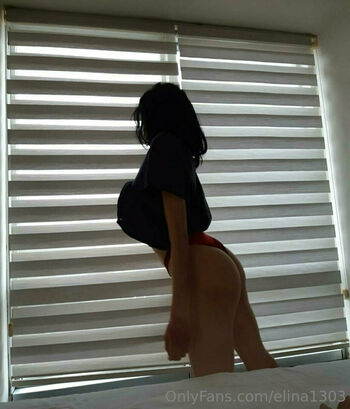 elina1303