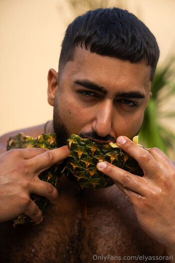 elyassorari