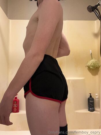 femboy_osprey