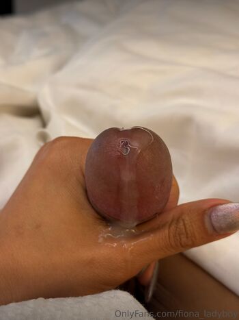 Fiona_ladyboy