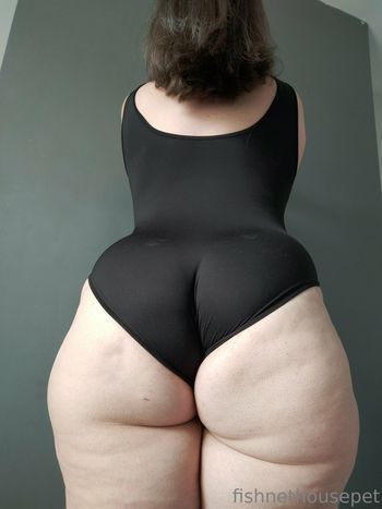 fishnethousepet