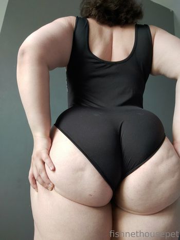 fishnethousepet