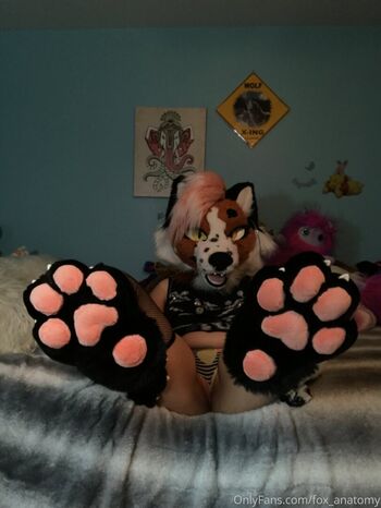 fox_anatomy