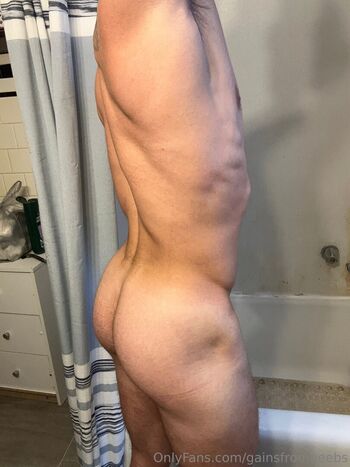 gainsfromgeebs