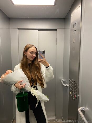ginger_piee