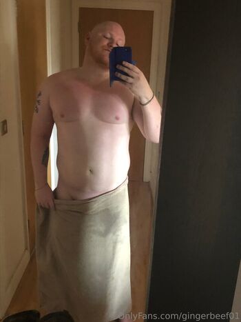 gingerbeef01