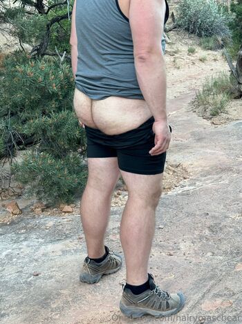 hairymascbear