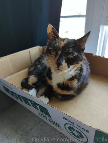 hardcore_holly